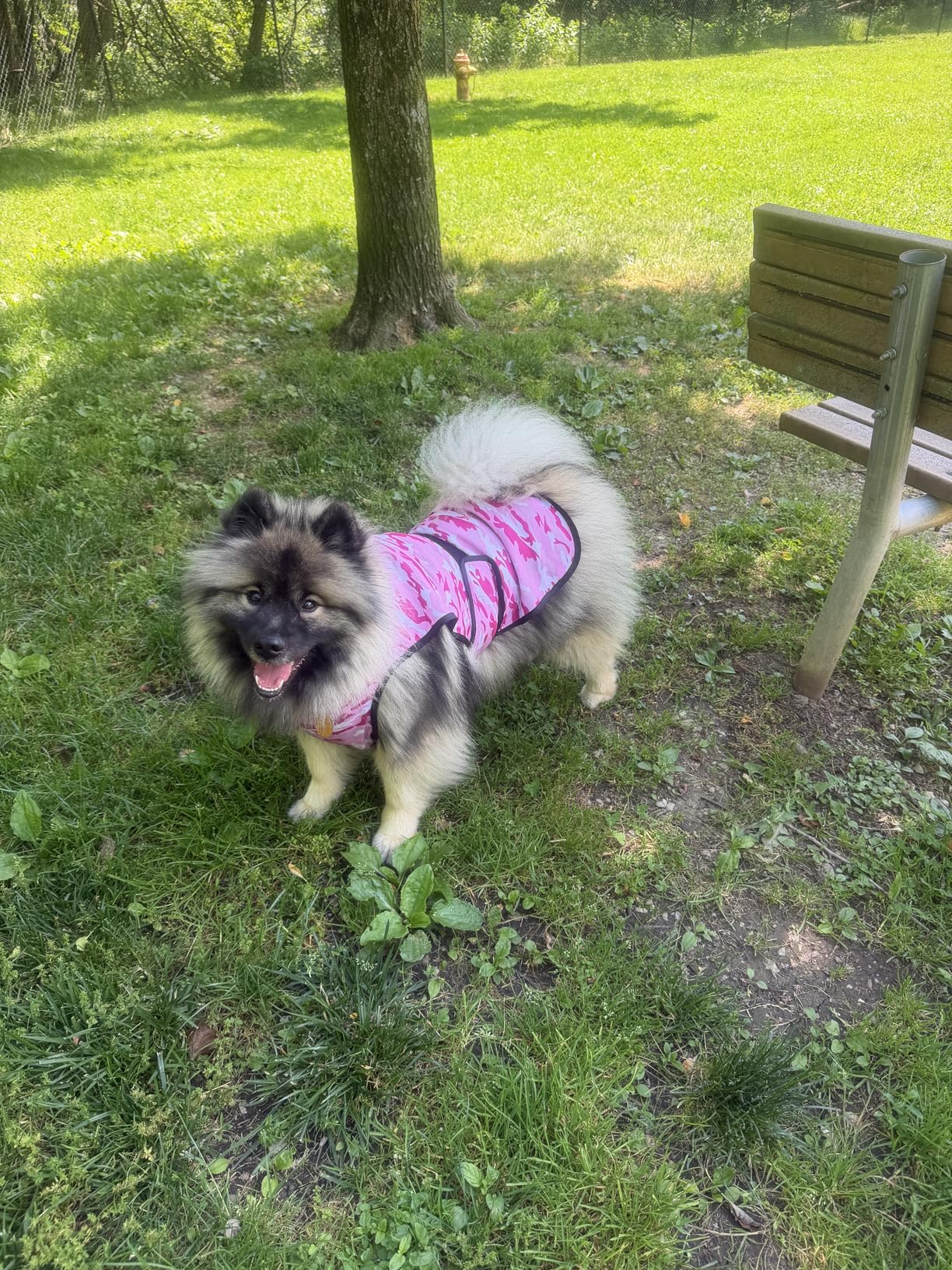 Dog Cooling Vest - 2-Layer Cooling with Soft Microfiber Fabric - Lightweight, Adjustable and Comfortable - UV Protection for Small to Large Dogs - Relief in Hot Weather (Blue, Medium) customer photo 2