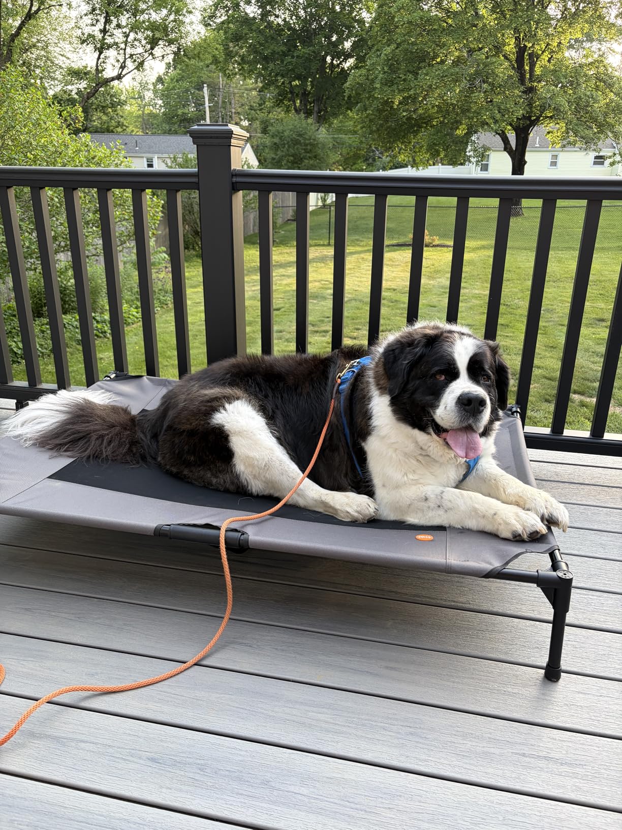 K&H Outdoor Elevated Dog Bed - Cooling Raised Dog Bed for Medium & Large Pets, Breathable Mesh Hammock Design, Indoor/Outdoor Washable Cover, Portable Metal Frame, Tan, Large 42x30in customer photo 2