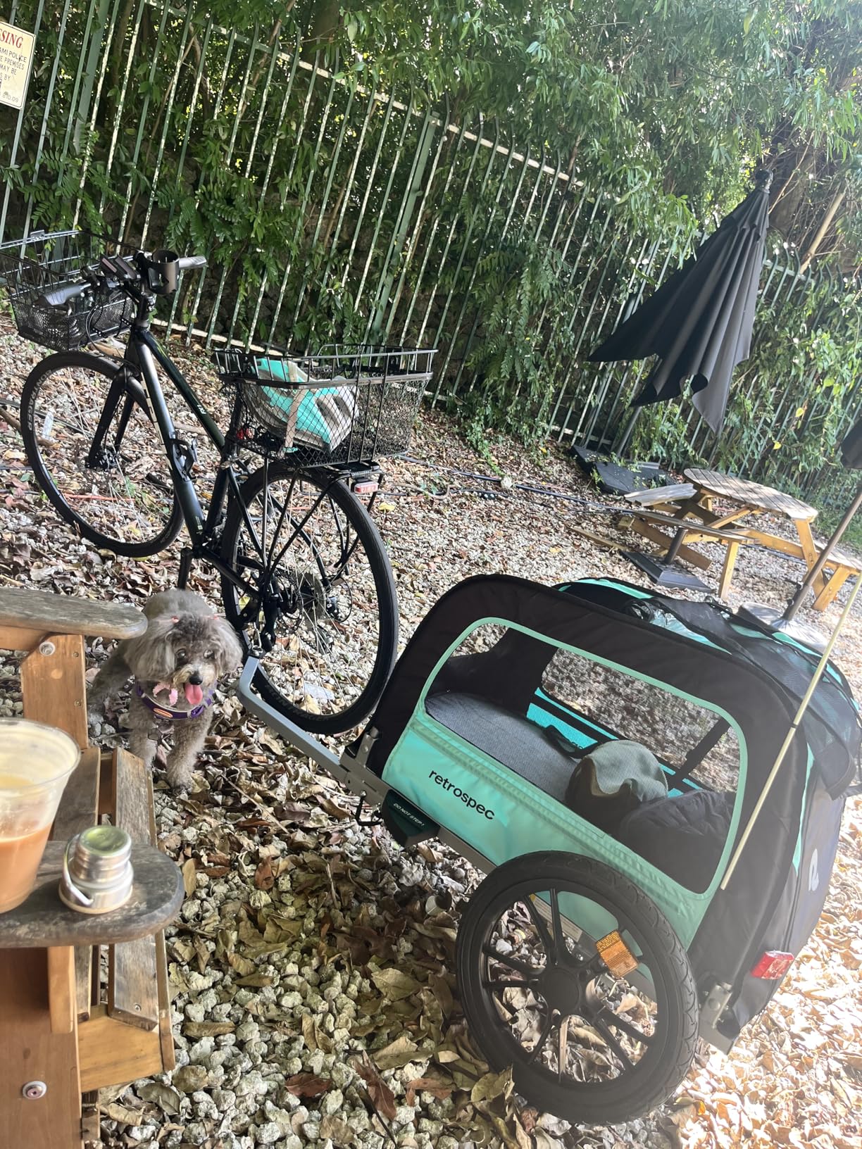 Retrospec Rover Waggin' Pet and Dog Bike Trailer with Weather-Resistant Canopy & Mesh Shield, 16in Wheels, Supports up to 50 lbs customer photo 1