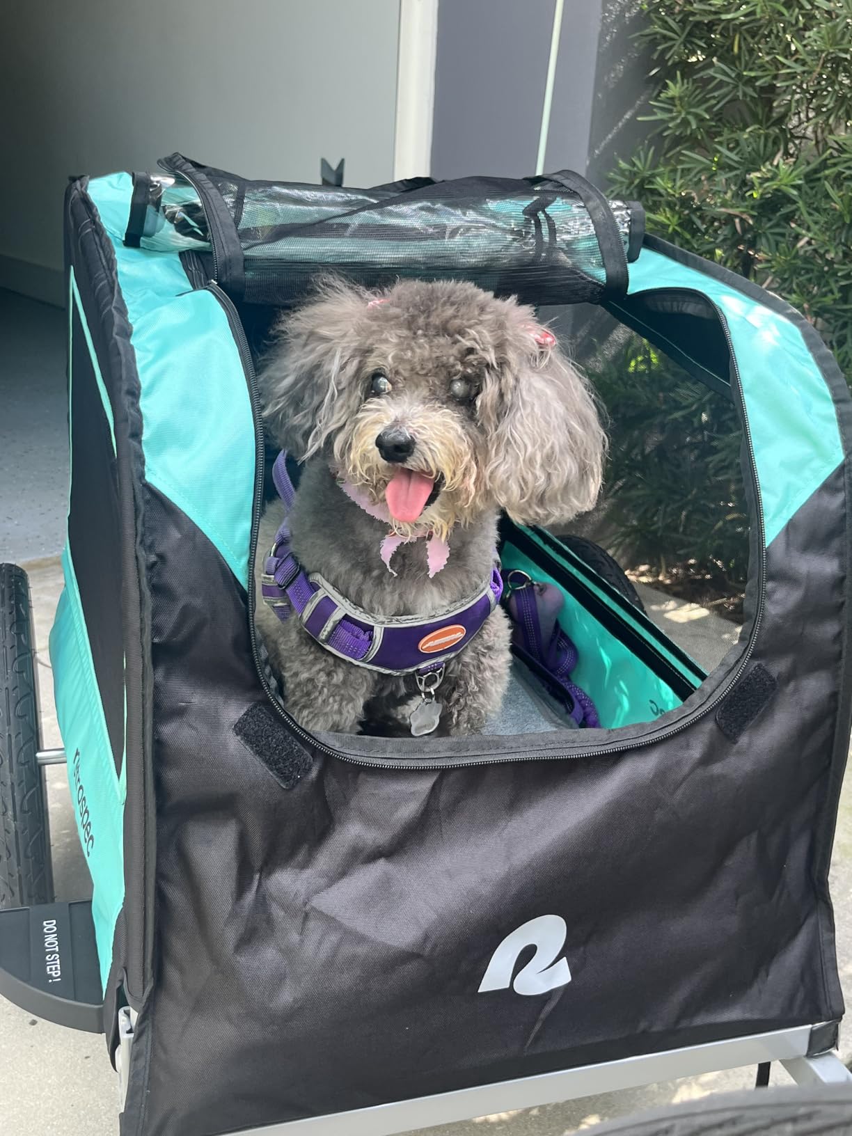 Retrospec Rover Waggin' Pet and Dog Bike Trailer with Weather-Resistant Canopy & Mesh Shield, 16in Wheels, Supports up to 50 lbs customer photo 2