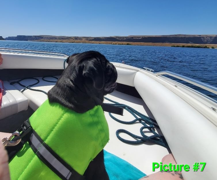 VIVAGLORY Rip Stop Dog Life Vest, Swimming Vest with Handle, Buoyancy for Doggy Puppy, Dog Life Jacket for Swimming & Boating, XL, Bright Yellow customer photo 2