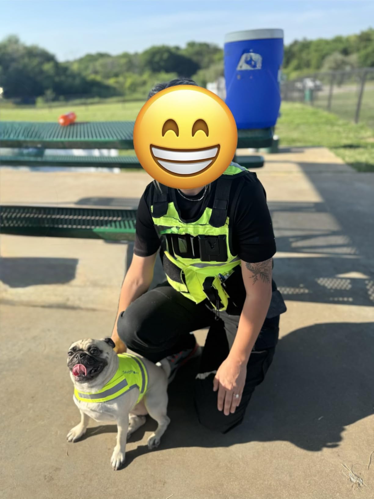 SafetyPUP XD Lite Dog Vest. Coverage to Mid Back. Reflective Hi Visibility Fluorescent Yellow Fabric Helps to Keep Them in Sight and Safe On and Off Leash. customer photo 1
