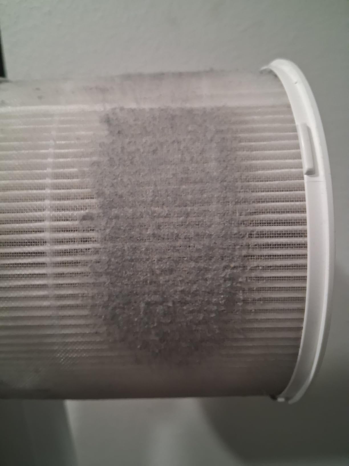 Clorox Air Purifiers for Bedroom Home, True HEPA Filter, Small Rooms Up to 200 Sq Ft, AUTO Mode, Whisper Quiet customer photo 1