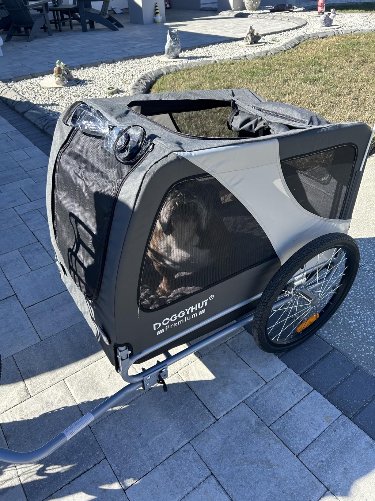 DOGGYHUT Premium XL Pet Bike Trailer for Large Dog or Multiple Small Dogs, Up to 100 lbs, Low Center of Gravity, Easy Folding Frame Cart customer photo 2