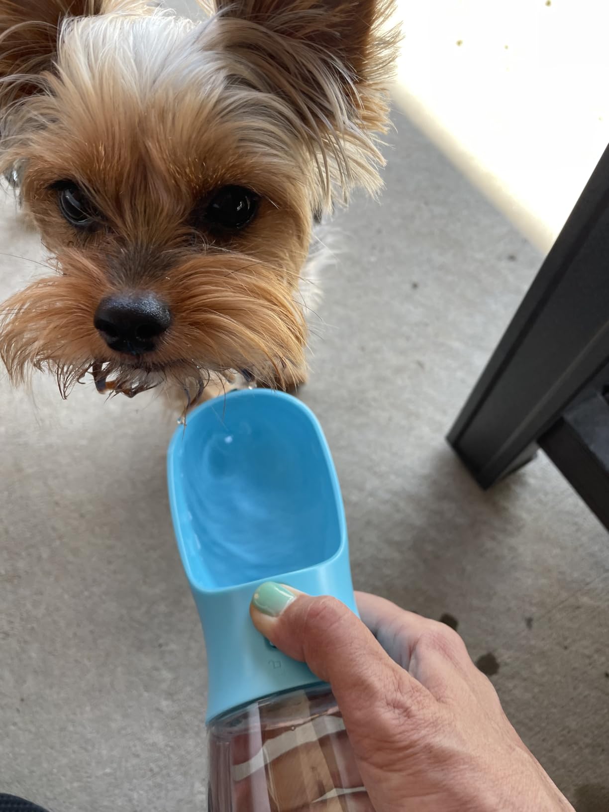 Cibaabo Dog Water Bottle with Food Container, Travel Puppy Water Bowl, Portable Pet Dispenser, Dog Gift Stuff Accessories Items, Puppy Essentials Necessities for Yorkie Cat Walking and Hiking customer photo 2