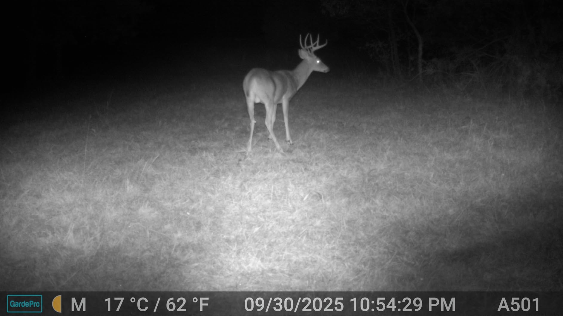 GardePro E5S Trail Camera (Non-Cellular, Non-WiFi), 64MP Photo & 1296P HD Video, 0.1s Trigger, 100ft No-Glow Night Vision, Motion Activated Wildlife Camera customer photo 2