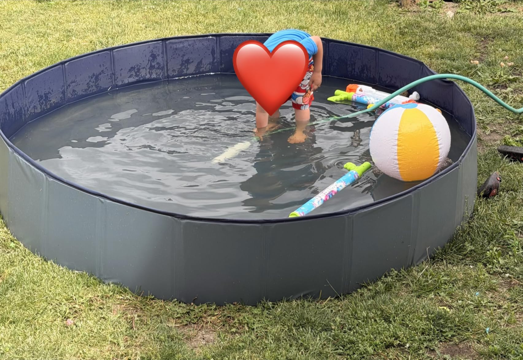 Niubya Foldable Dog Swimming Pool, Collapsible Hard Plastic, Portable Bath Tub for Pets Dogs and Cats, Pet Wading Pool for Indoor and Outdoor, 72 x 12 Inches customer photo 2