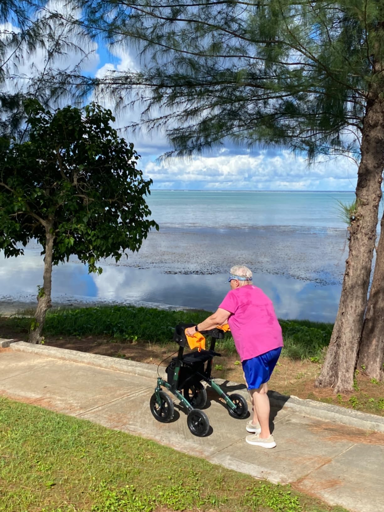 Helavo All Terrain Walker Rollator with 12