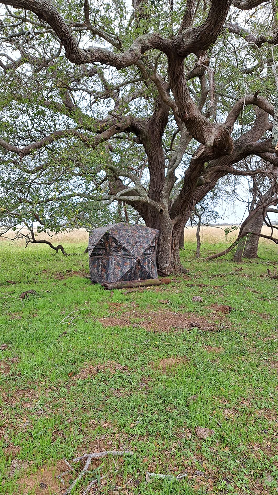 Lenotos Hunting Blind 270 Degree See Through, Low-Noise 2-3 Person Pop Up Deer Blind, Portable Durable Ground Blind for Deer & Turkey Hunting customer photo 2