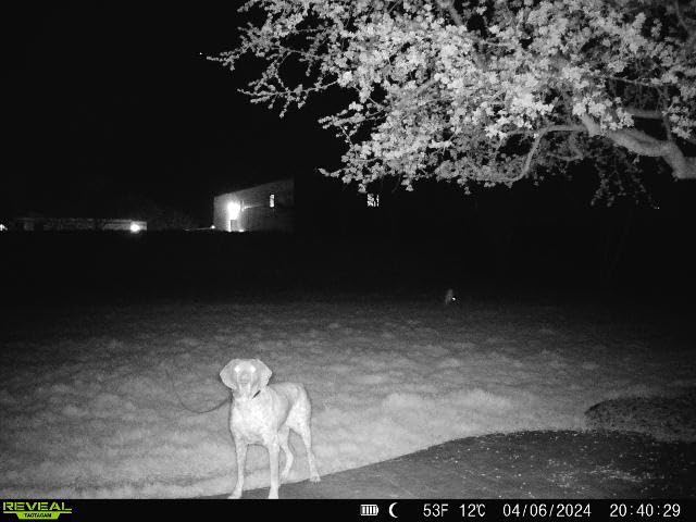 TACTACAM Reveal X PRO Cellular Trail Camera, Verizon and AT&T, NO Glow, Integrated GPS Tracking, Built in LCD Screen, HD Photo and HD Video customer photo 1