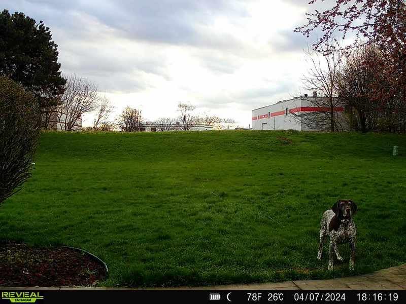 TACTACAM Reveal X PRO Cellular Trail Camera, Verizon and AT&T, NO Glow, Integrated GPS Tracking, Built in LCD Screen, HD Photo and HD Video customer photo 2