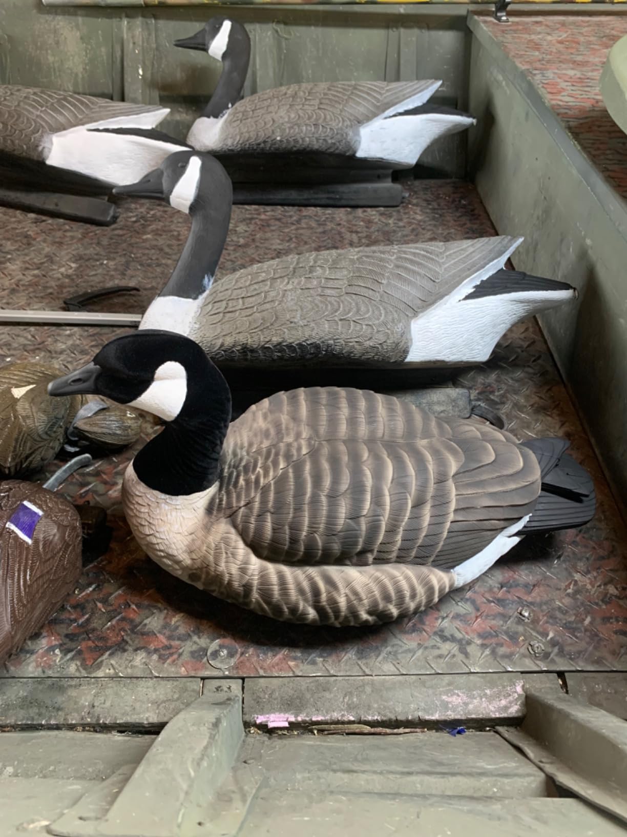 Canada Goose Floater Hunting Decoys By Heyday | 100% HydroFoam 4 Pack Ultra Realistic, Durable Goose Hunting Decoys customer photo 1