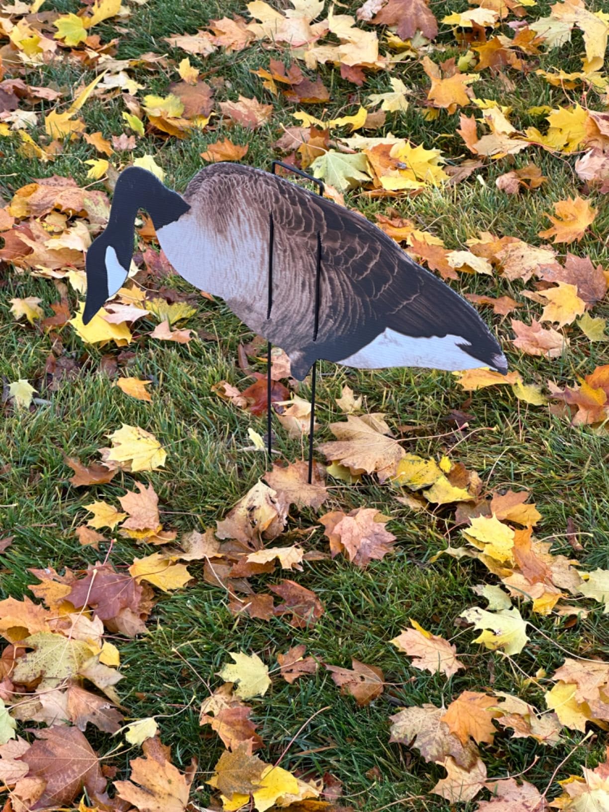 1 Doz Vivid Series Silhouette Decoys customer photo 1