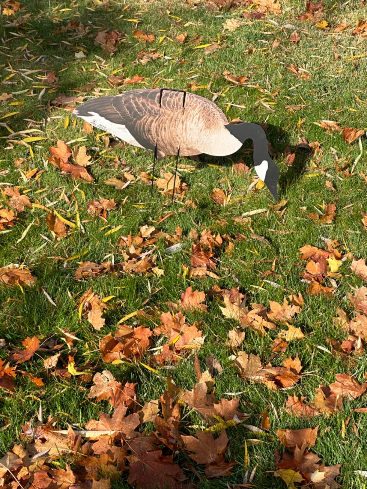 1 Doz Vivid Series Silhouette Decoys customer photo 2