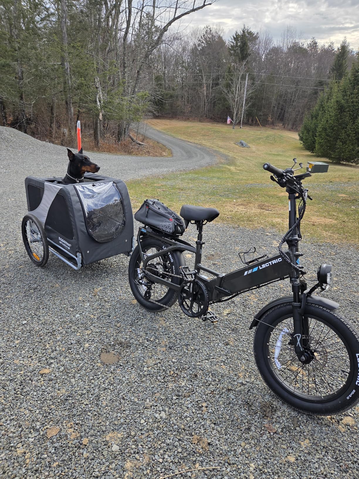 DOGGYHUT® Premium XL Pet Bike Trailer for Large Dog or Multiple Small Dogs, Up to 100 lbs,Dog Bicycle Carrier,Low Center of Gravity,Easy Folding Frame Cart customer photo 1