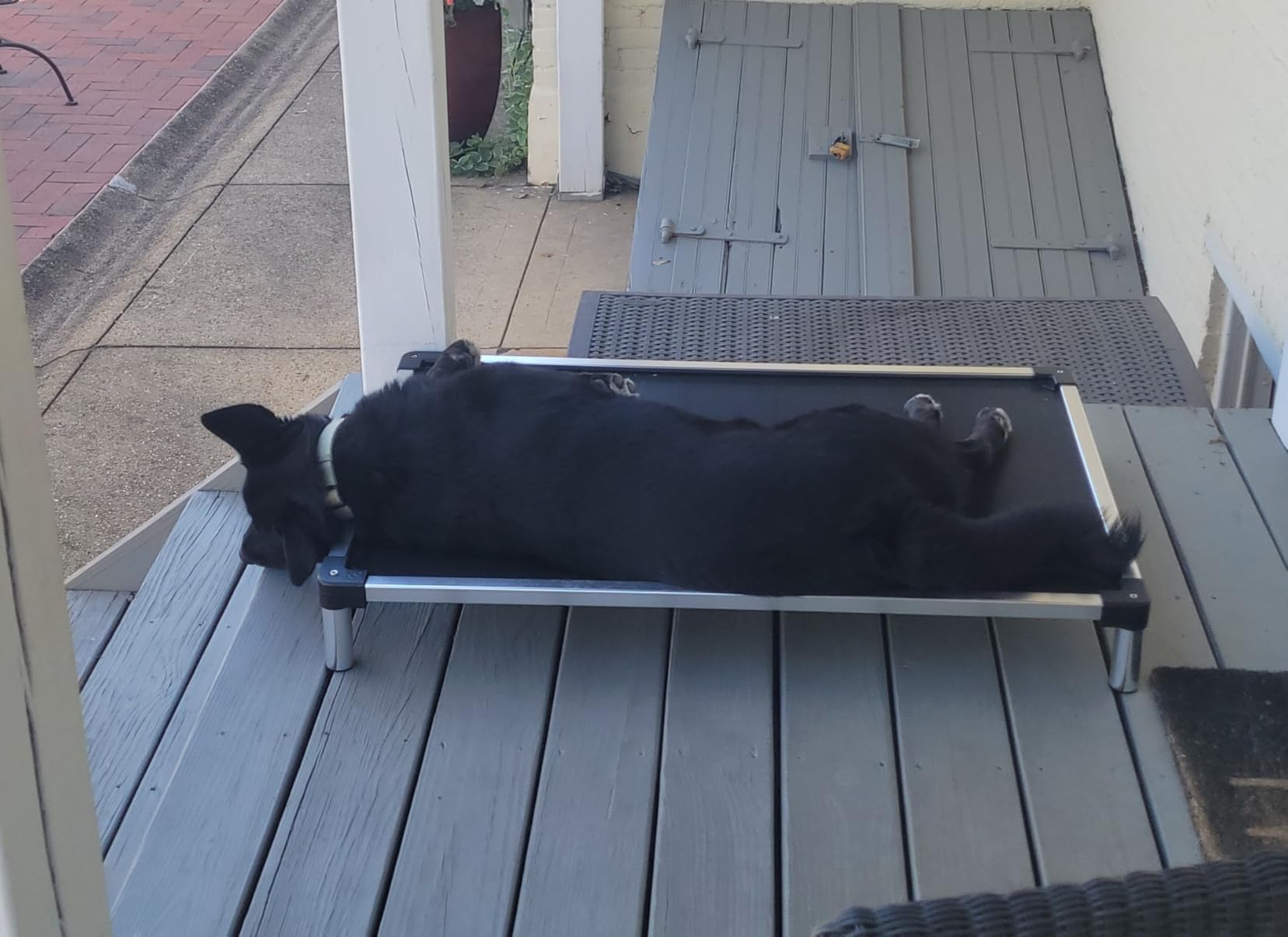 K9 Ballistics Chew Proof Elevated Outdoor Cooling Cot Bed for Large Dogs - Virtually Indestructible, Preassembled, Withstands Aggressive Chewers - L, Ripstop Blue Quartz customer photo 2