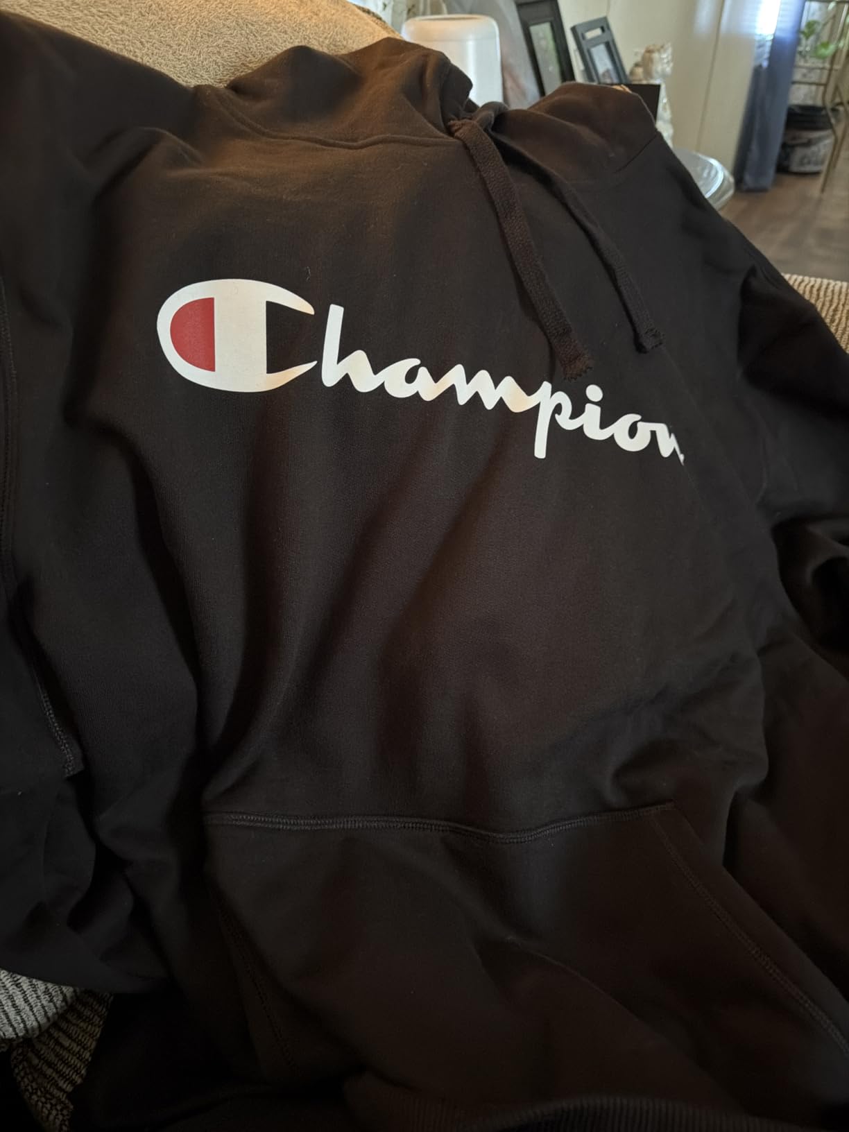 Men's Pullover Graphic Fleece Hoodie, Standard Fit, Midweight Fleece, Classic Script Logo customer photo 2
