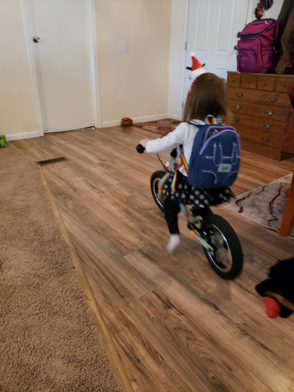Retrospec Cub Plus Toddler Balance Bike for Boys & Girls Ages 18 Months - 4 Years No Pedals with Lightweight Frame and Adjustable V-Brake, Seat and Handlebar for Kids customer photo 1
