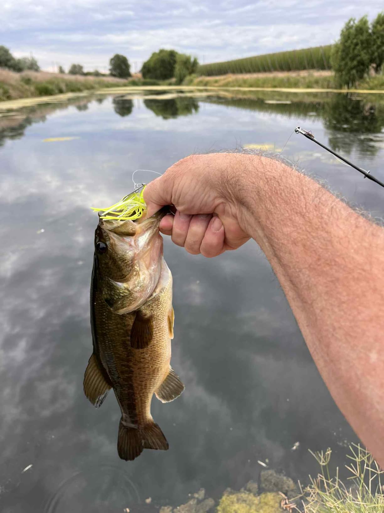 Shimano SLX A Low Profile ReelsFishing customer photo 1