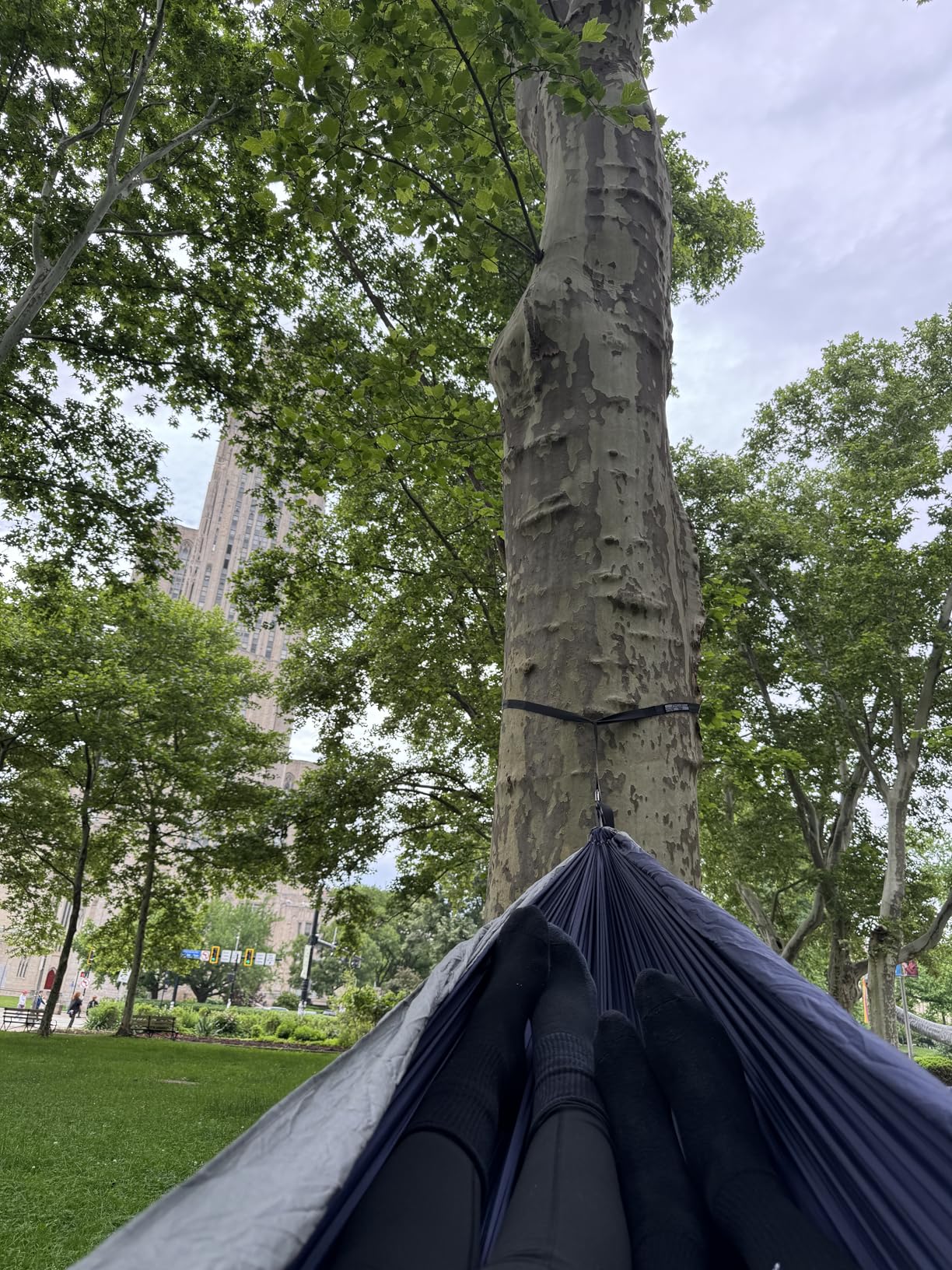 Wise Owl Outfitters Camping Hammock - 500lbs Portable Hammock with Tree Straps - Travel, Backpacking, Hiking, Outdoors Camping Gear - Single or Double customer photo 2