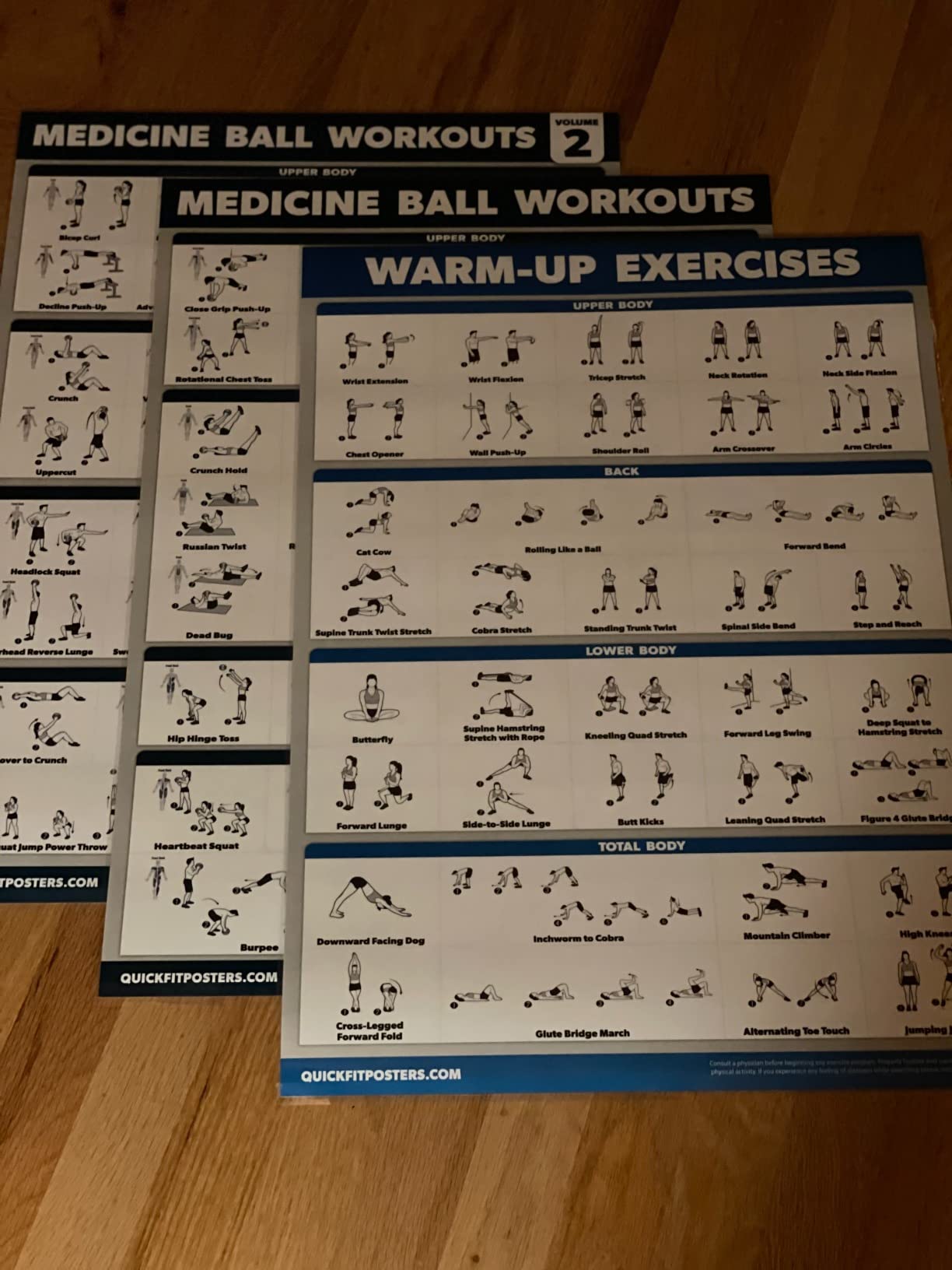 Palace Learning 3 Pack - Medicine Ball Workouts Volume 1 & 2 + Warm Ups Exercise Poster Set - Fitness Charts customer photo 1