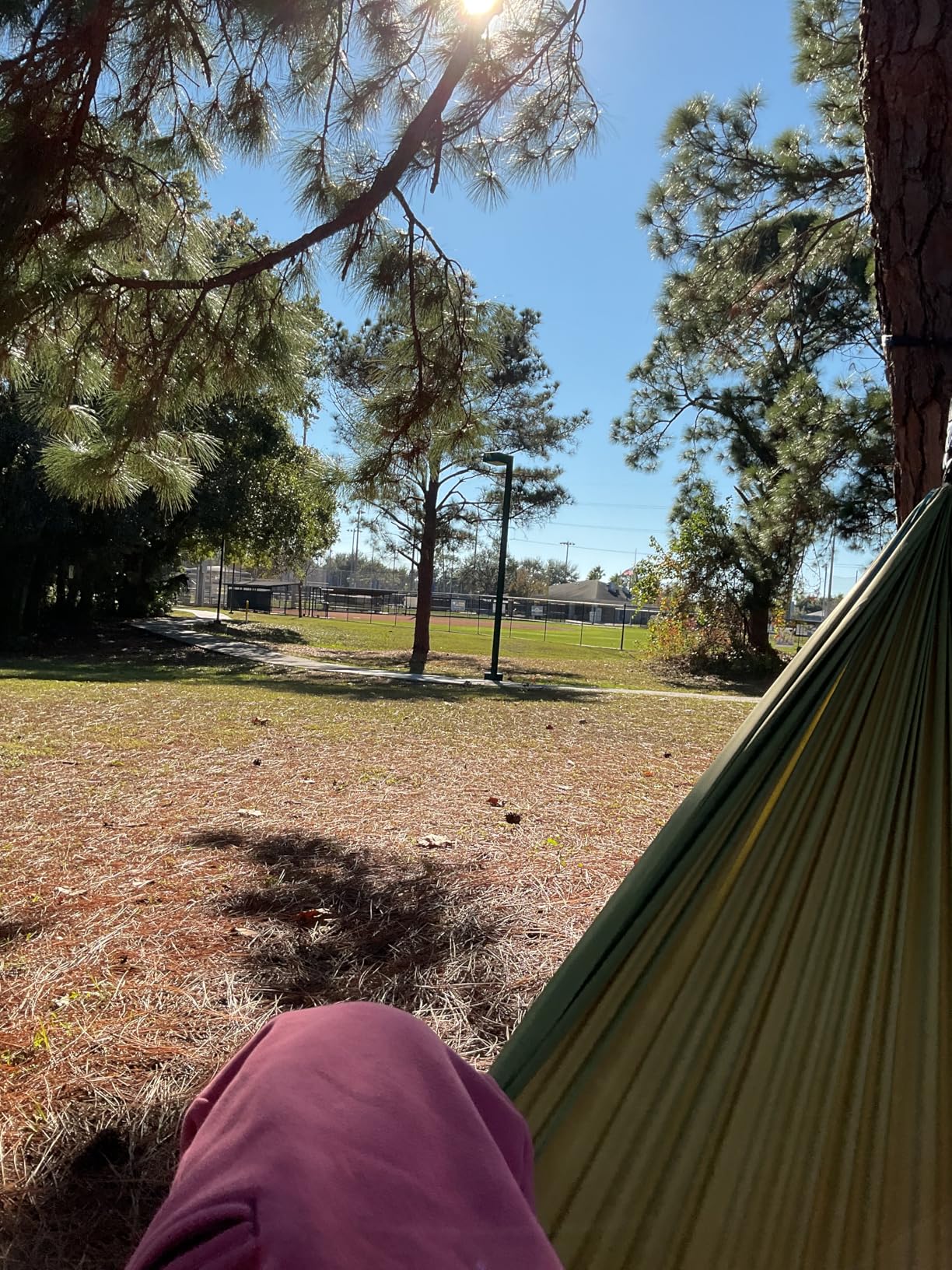 GRAND TRUNK TrunkTech Double Hammock | Ultra-Strong & Lightweight | 11 ft Hammock with Ripstop Nylon | 500 lb Capacity | Fast-Drying & Weather-Resistant | Big Fleur customer photo 1