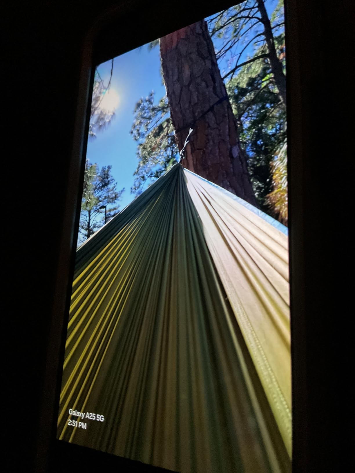 GRAND TRUNK TrunkTech Double Hammock | Ultra-Strong & Lightweight | 11 ft Hammock with Ripstop Nylon | 500 lb Capacity | Fast-Drying & Weather-Resistant | Big Fleur customer photo 2