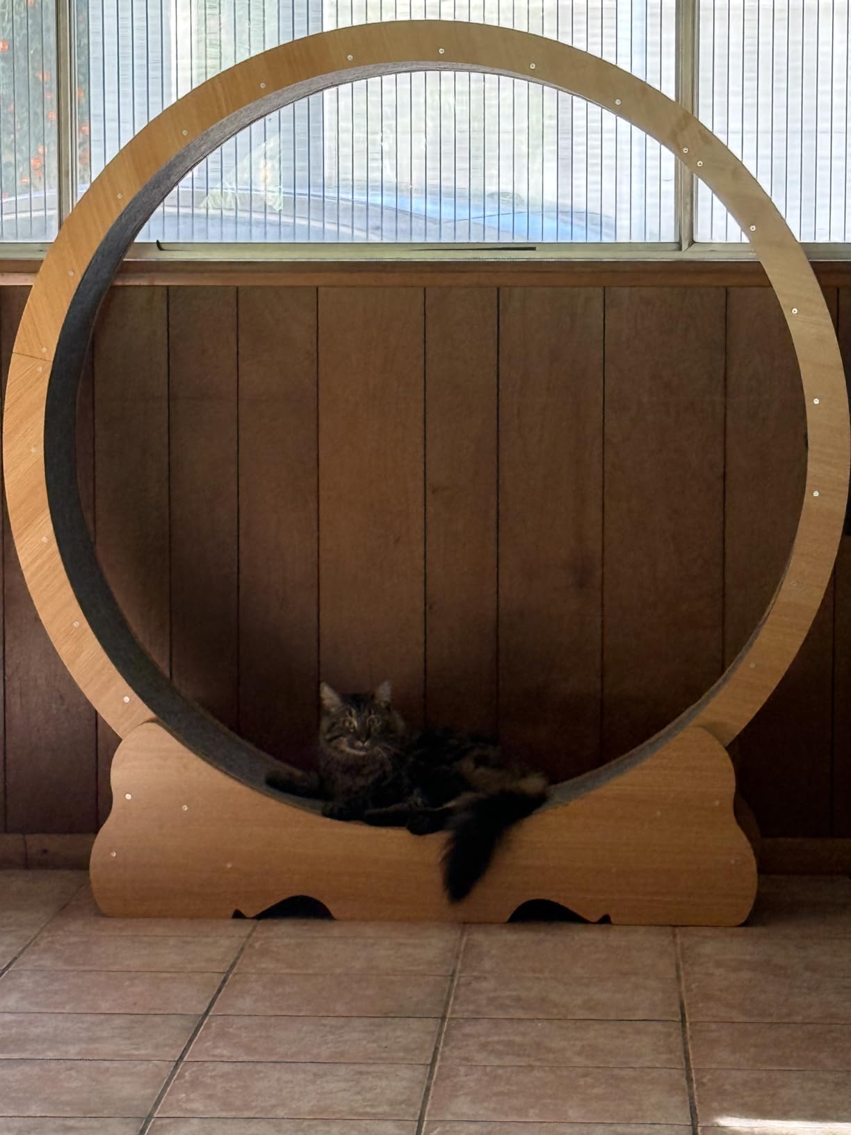 Cat Exercise Wheel, 46