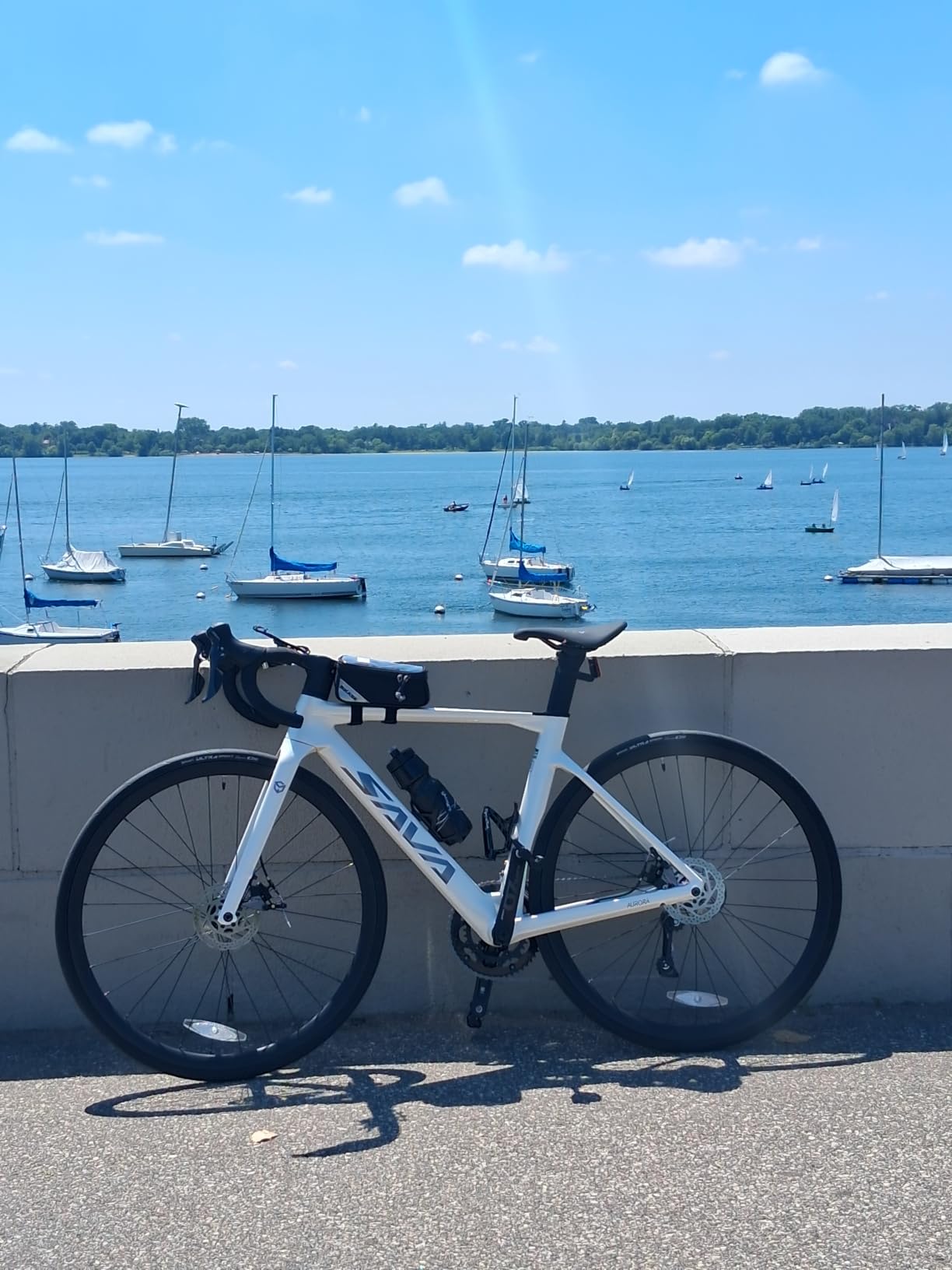 SAVADECK Carbon Disc Road Bike, Integrated Design Racing Bicycle Carbon Frame Carbon Fork with Shimano SORA R3000 18 Speed Disc Brake Road Bike customer photo 1