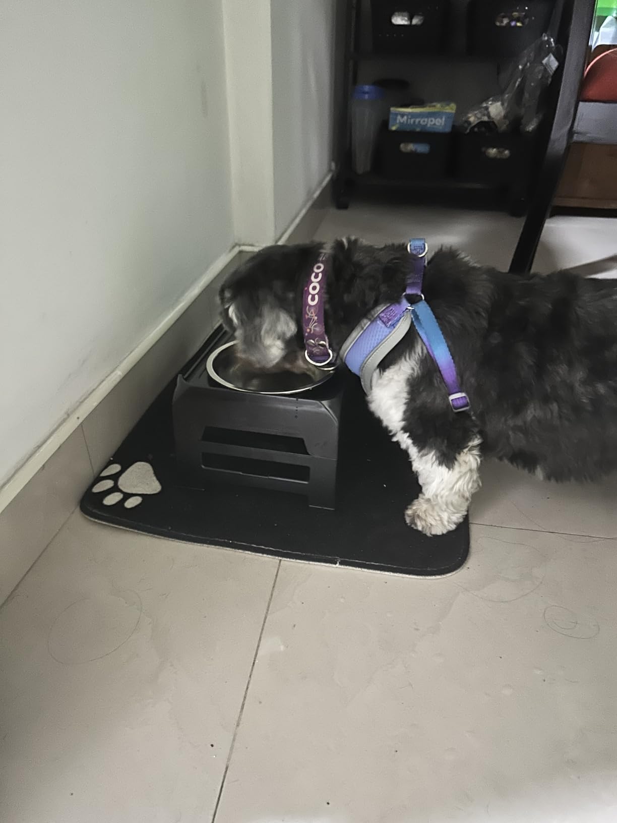 COMESOON Elevated Dog Bowls, 4 Height Adjustable Raised Bowl Stand with 2 Thick 50oz Stainless Steel Food Bowls Non-Slip Feeder Adjusts to 3.7'', 9.2'', 10.75'', 12.36'' Black, (DB-W01) customer photo 1