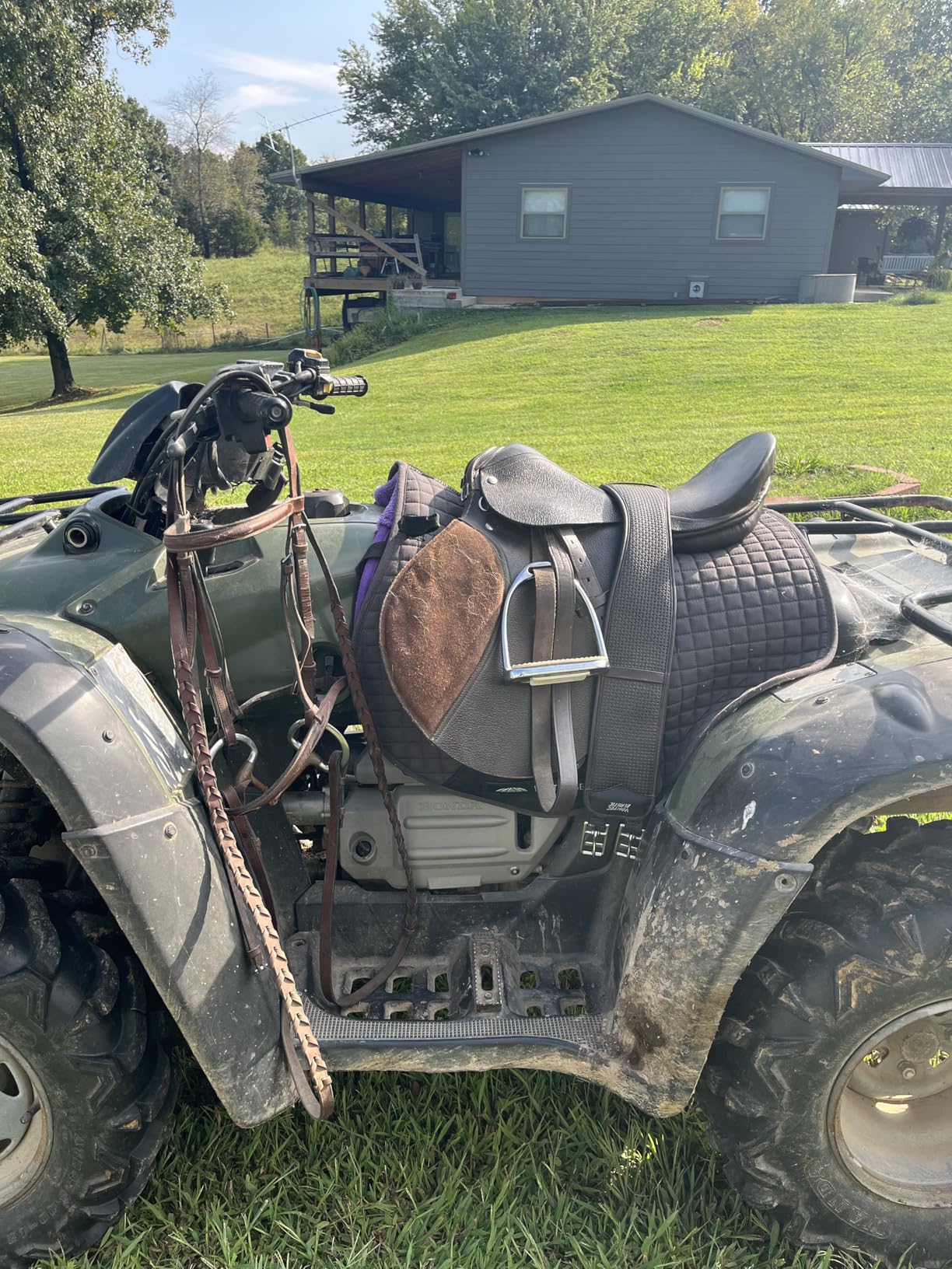 T TEKE Contoured Chafeless Girth for Horses, Airflow Waffle PVC Foam Construction with Double Side Heavy Duty Cotton Elastic and Stainless Steel Buckles customer photo 1