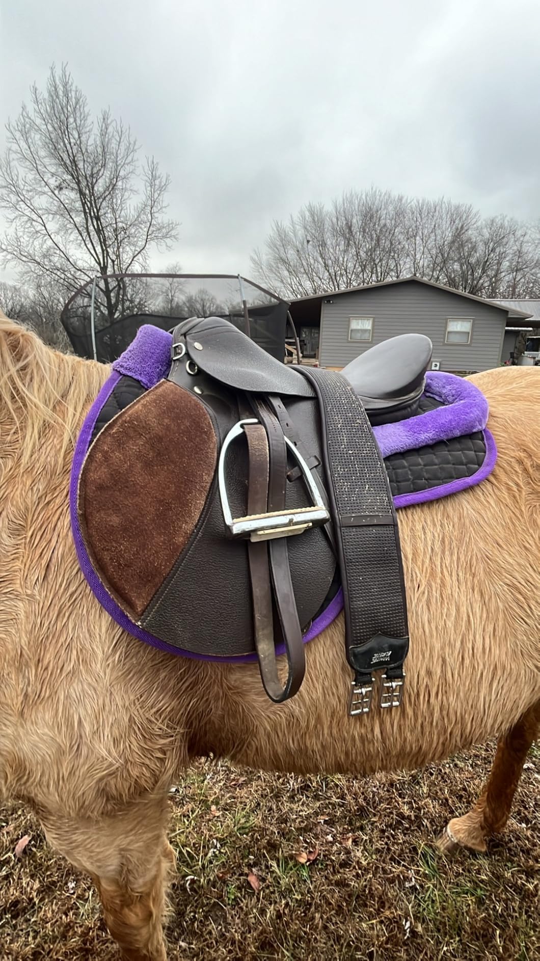 T TEKE Contoured Chafeless Girth for Horses, Airflow Waffle PVC Foam Construction with Double Side Heavy Duty Cotton Elastic and Stainless Steel Buckles customer photo 2