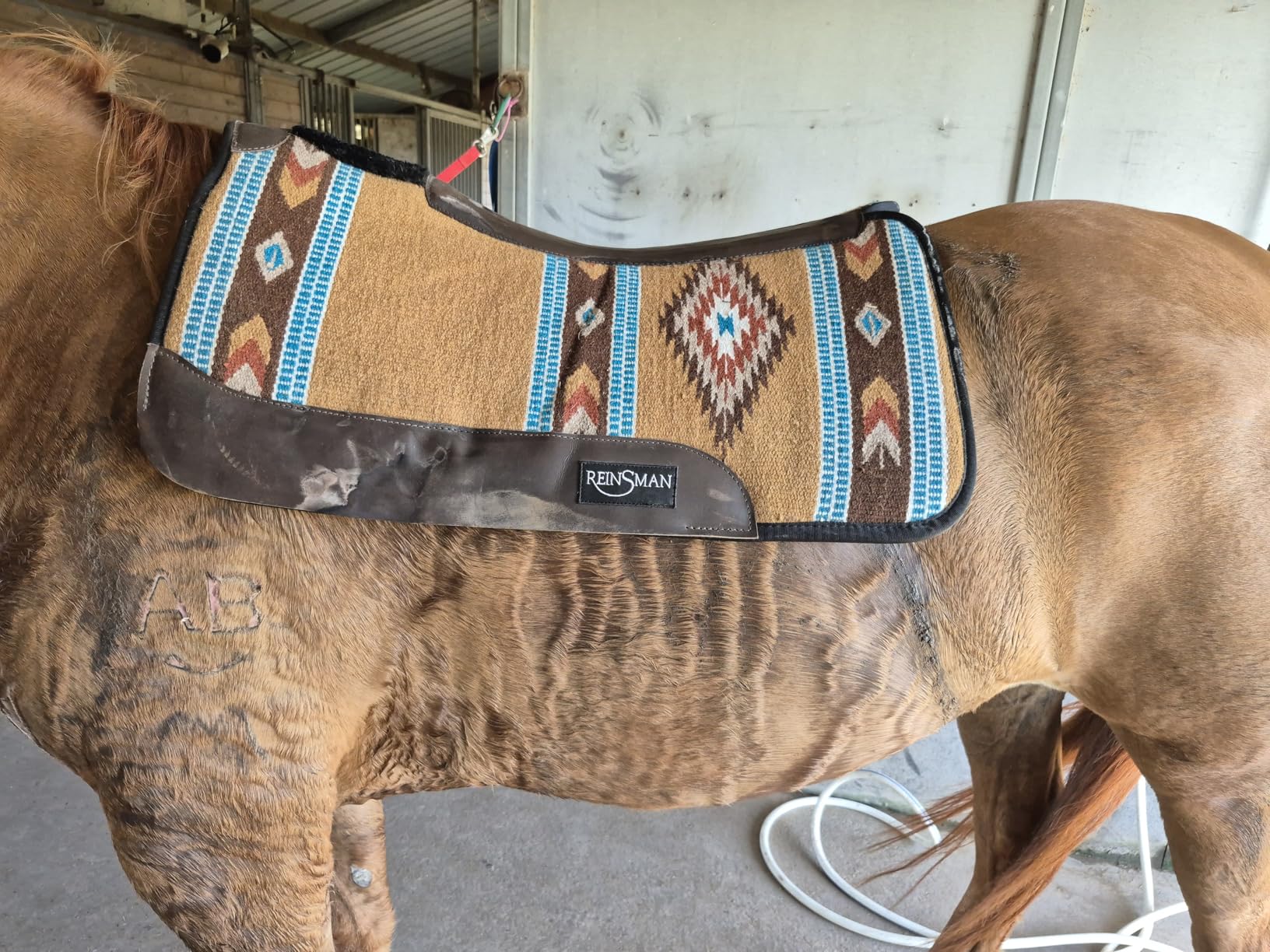 Reinsman APEX Ranahan Tacky Too Soft Breathable Non-Slip Shock-Absorbing Fleece-Lined Moisture-Wicking Contoured Back Protection Horse Riding Saddle Pad customer photo 1