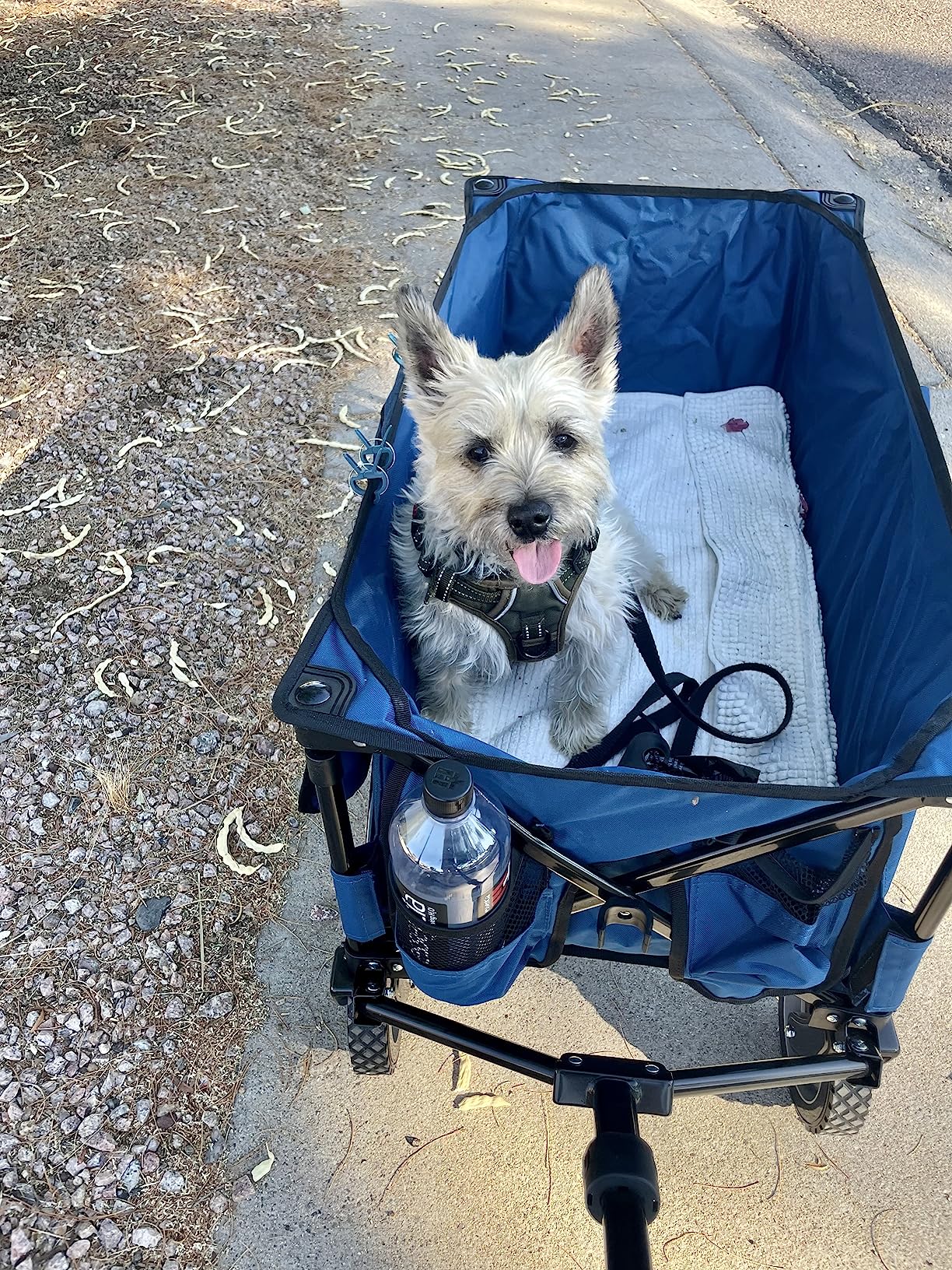 Timber Ridge 350L Extra Large Collapsible Folding Wagon Carts with Brake, Heavy Duty Outdoor Camping Utility Wagons with Extended Height, Adjustable Handle, Cup Holders, Side Bag (Gray) customer photo 1