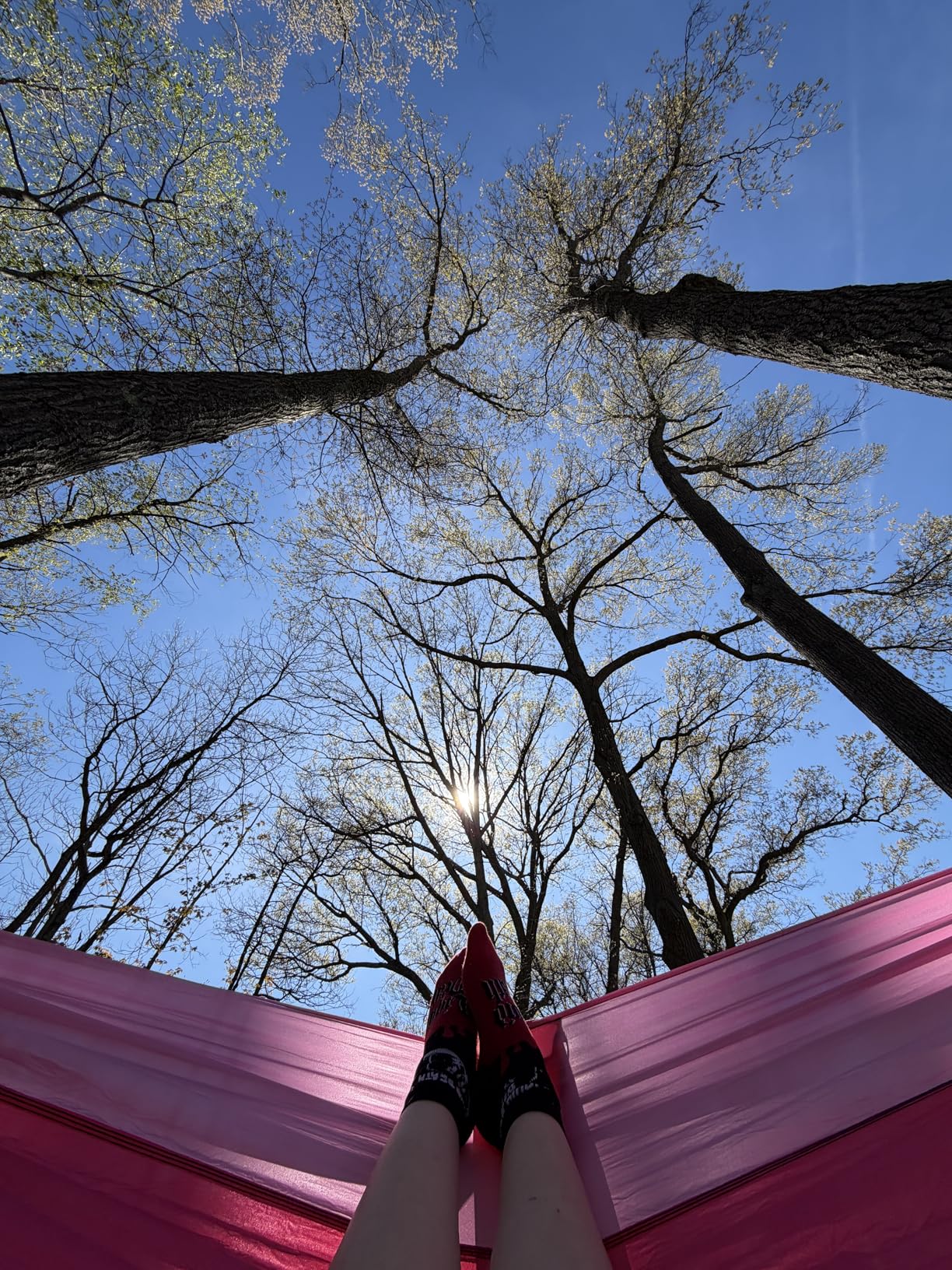 Grassman Camping Hammock Double & Single Portable Hammock with Tree Straps, Lightweight Nylon Parachute Hammocks Camping Accessories Gear for Indoor Outdoor Backpacking, Travel, Hiking, Beach customer photo 2