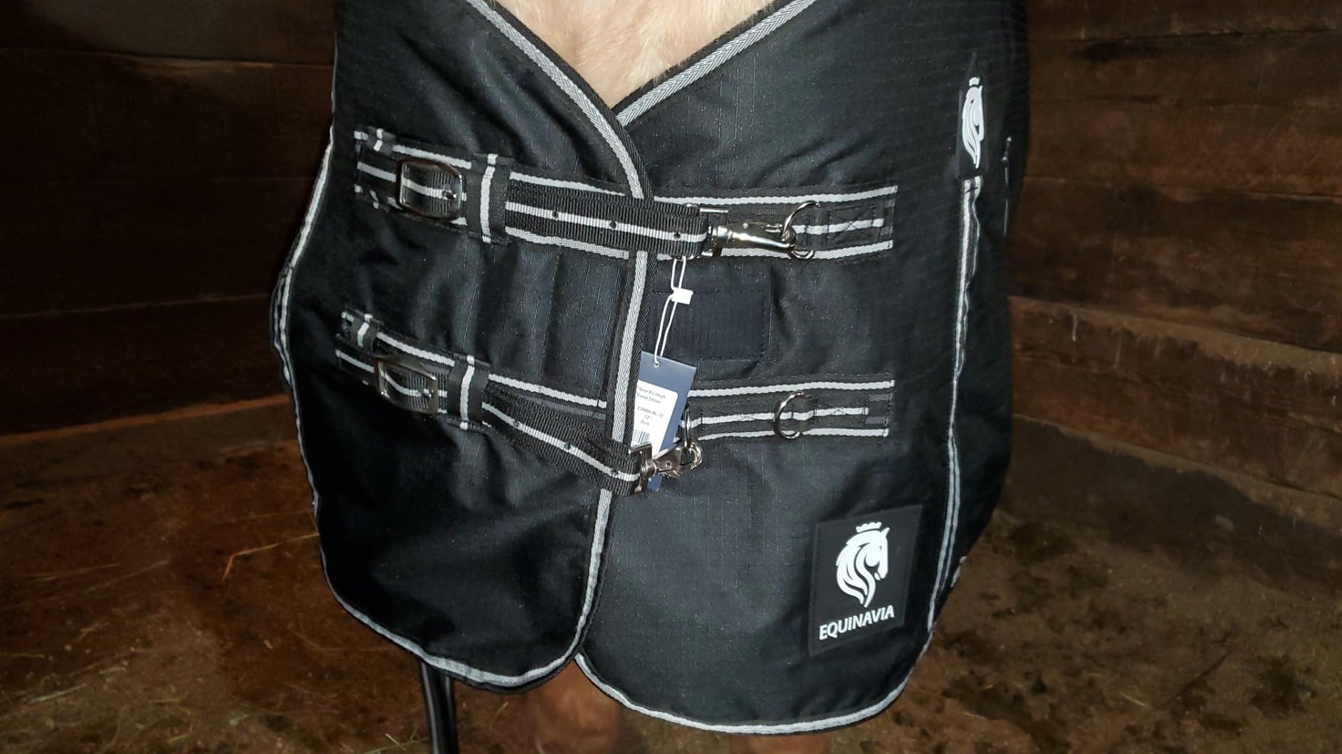 Equinavia Norse 200g Medium Weight Horse Blanket | Waterproof Winter Turnout - Black - 66 in - Black - 69 in customer photo 1