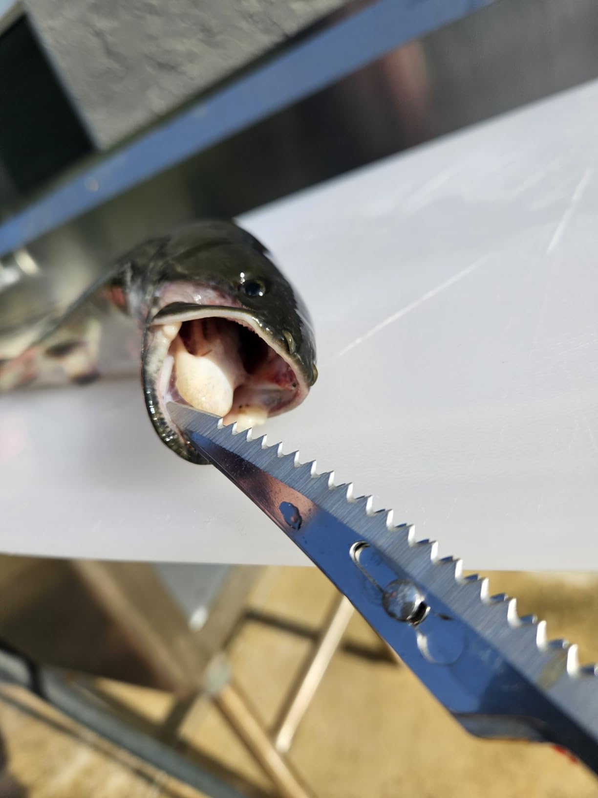 FLISSA Cordless Electric Fillet Knife for Fish with 8