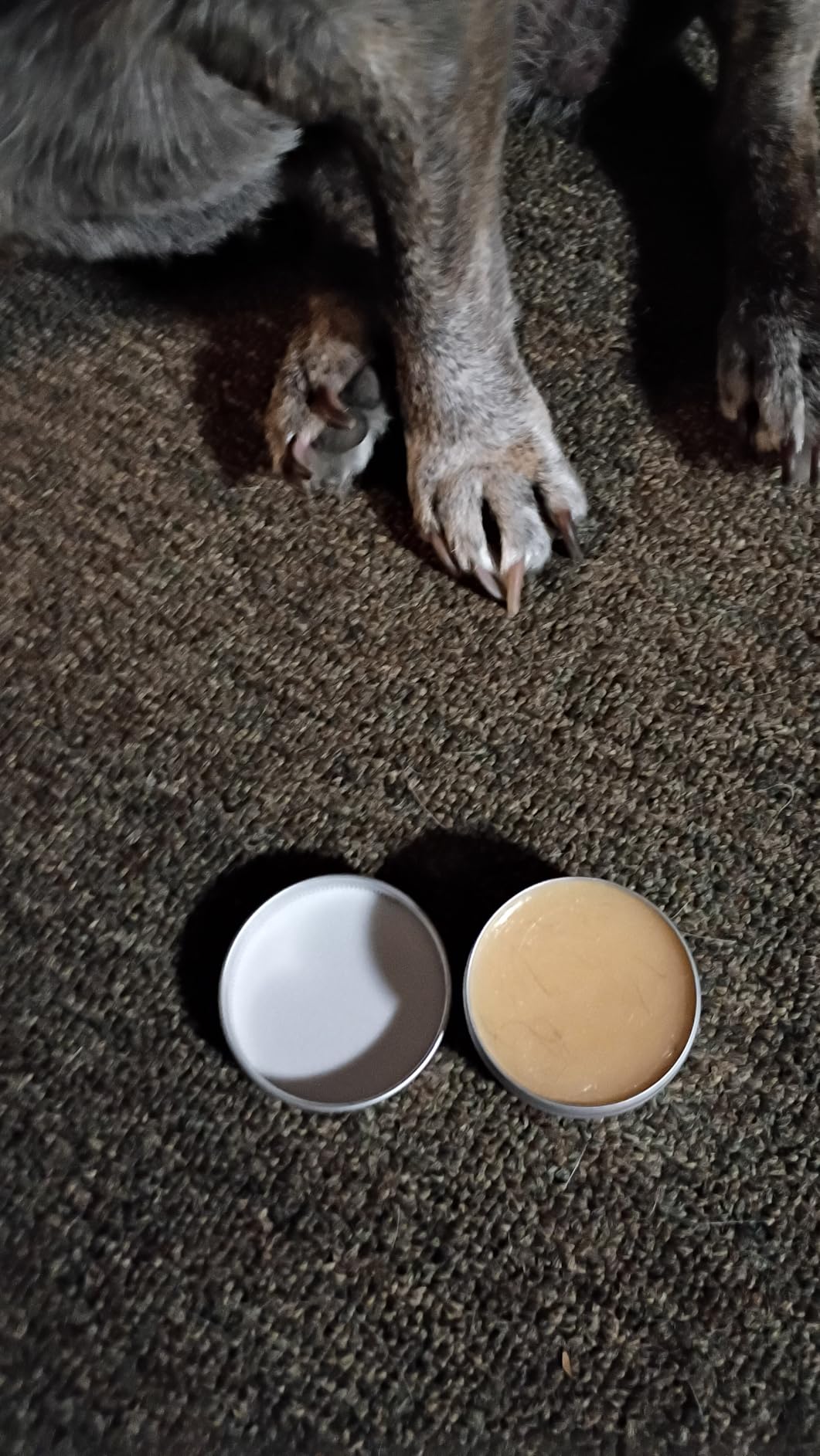 Finn Paw Hero Natural Dog Paw Balm | Hot Pavement, Sand & Trail Protection | Moisturizes Dry, Cracked Pads | Lick-Safe Ointment for Spring & Summer Activities - 1.75 oz customer photo 1