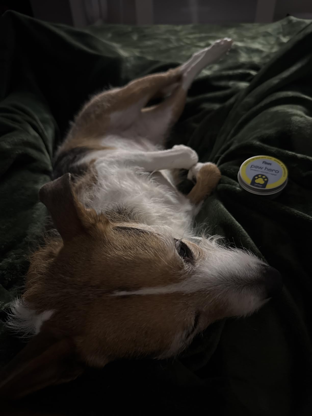 Finn Paw Hero Natural Dog Paw Balm | Hot Pavement, Sand & Trail Protection | Moisturizes Dry, Cracked Pads | Lick-Safe Ointment for Spring & Summer Activities - 1.75 oz customer photo 2