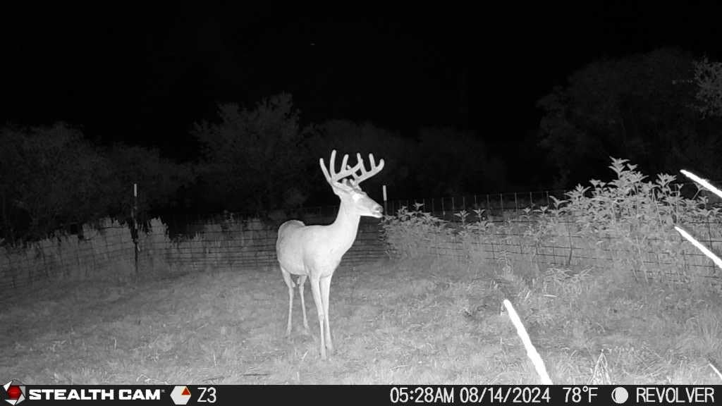 Stealth Cam Revolver 36MP Photo 1080P HD Video at 30 FPS 0.4 Sec Trigger Speed 360-Degree Panoramic View Built-in GPS Hunting Cellular Trail Camera for Indoor and Outdoor, Verizon and AT&T customer photo 2