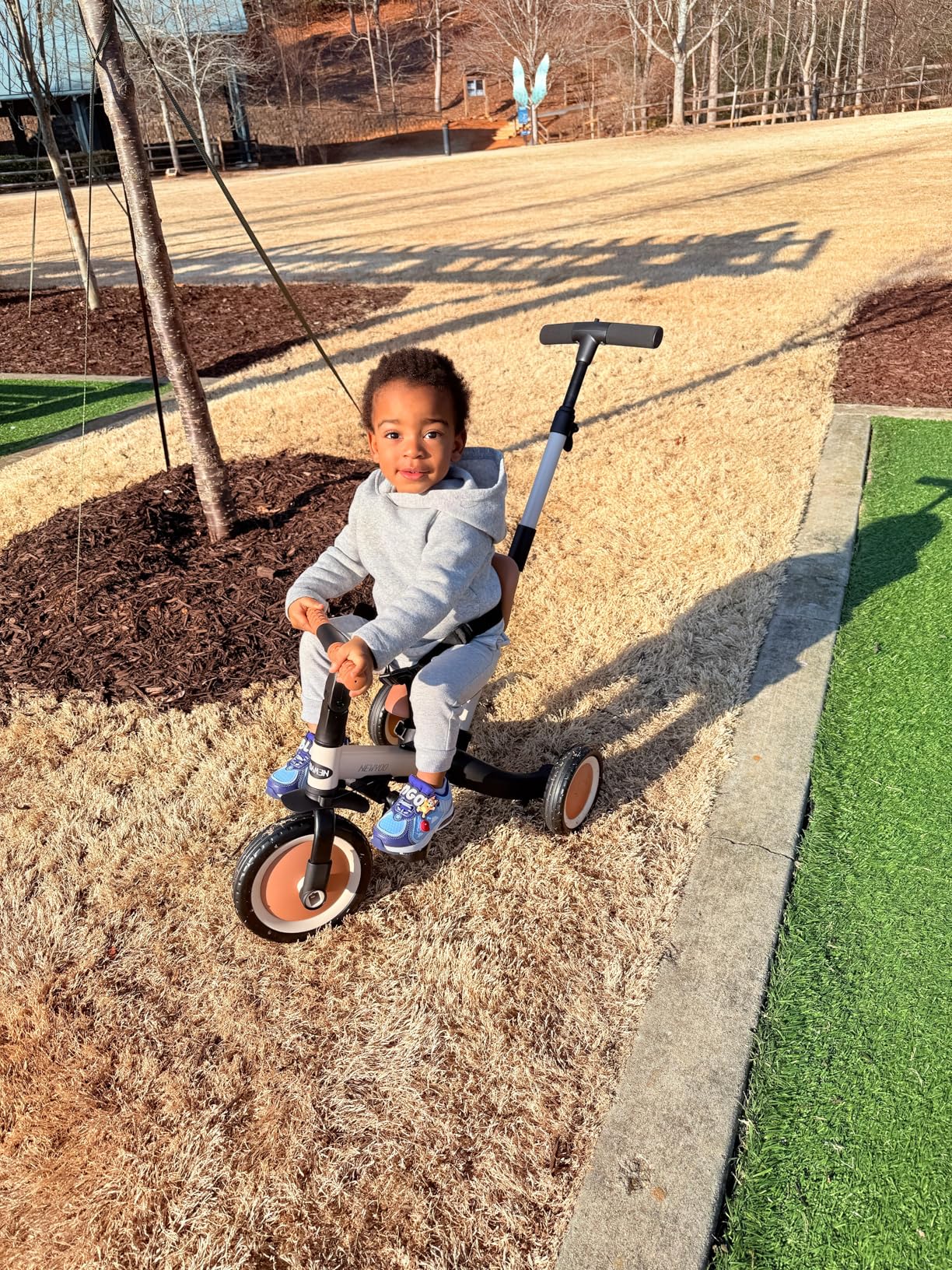 newyoo Toddler Tricycle with Push Handle for 1-3 Year Old, Toddler Bike, Birthday Gift and Toy for Boys and Girls, 5 in 1 Kids Trike, Balance Bike with Backrest and Safety Belt, Khaki, TR007 customer photo 1
