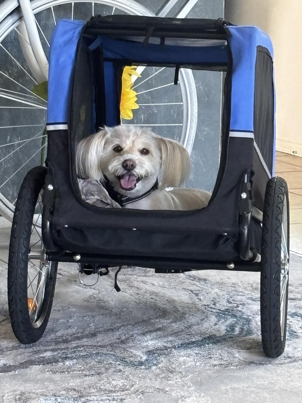 VEVOR Dog Bike Trailer, Supports up to 66 lbs, Pet Cart Bicycle Carrier for Small & Medium Dogs, Easy Folding Frame with Quick Release Wheel customer photo 2