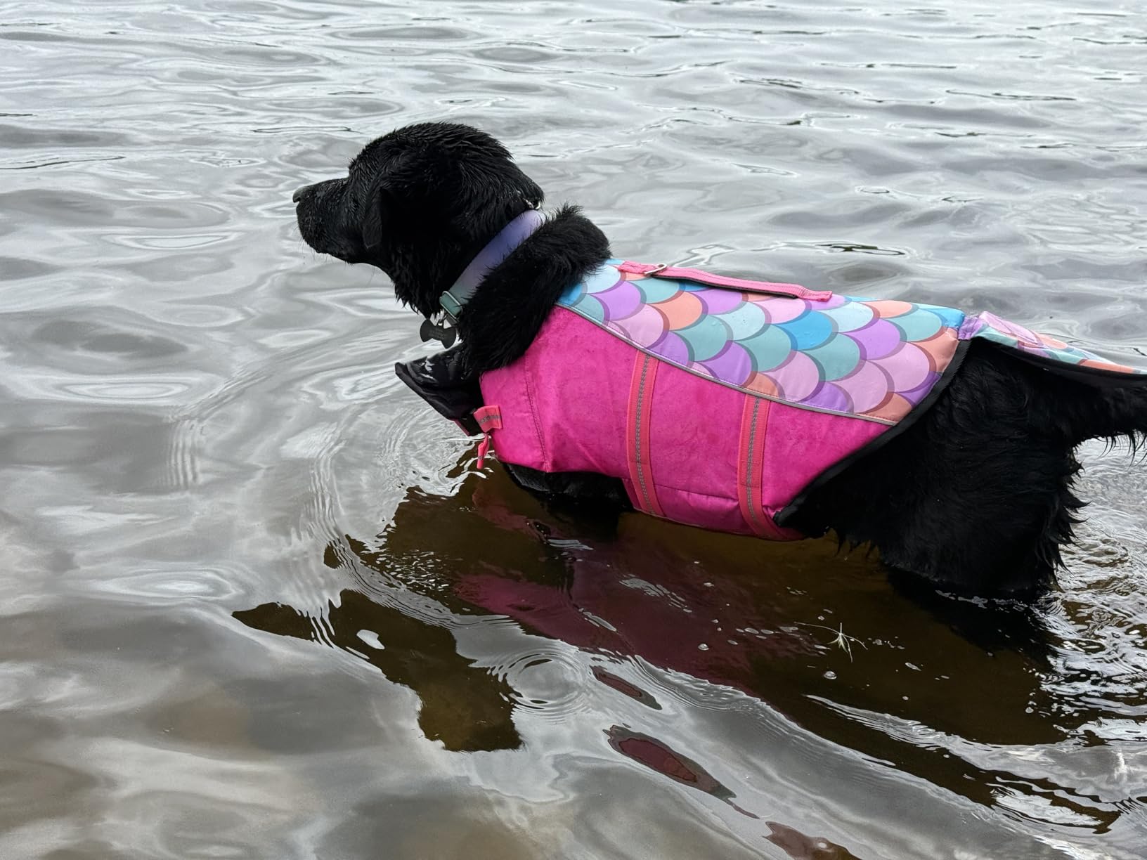 cyeollo Dog Life Jacket Reflective Mermaid Dog Life Vest for Swimming Boating, High Buoyancy Pet Life Preserver Lightweight Small Medium Large Doggie Lifejackets with Front Float, Pink XS customer photo 1