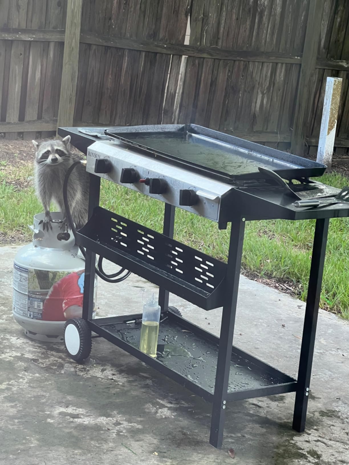 ROVSUN 4 Burner Portable Propane Griddle with Nonstick Enameled Tray, 40,000 BTU Tabletop Flat Top Gas Grill customer photo 1