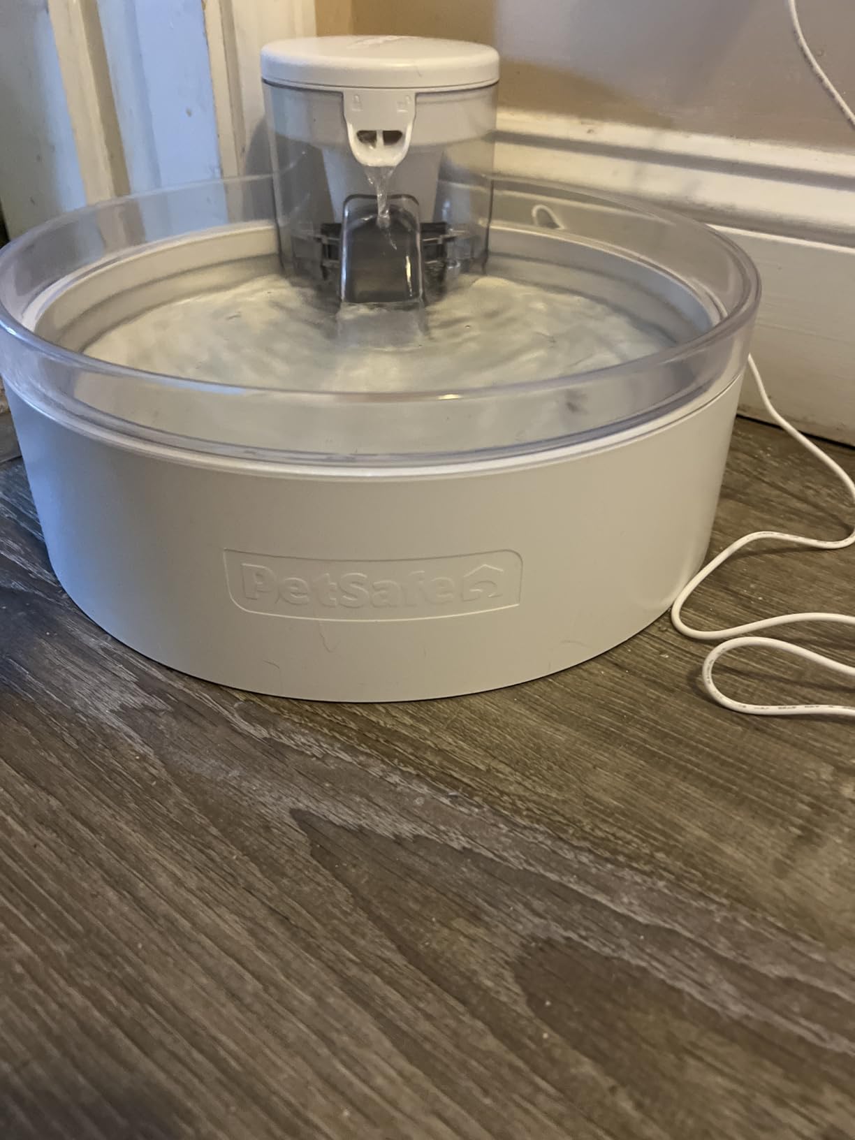 PetSafe Outlast Pumpless Dog Water Fountain 128 oz Indoor Water Dispenser for Dogs and Multiple Cats - Dishwasher Safe, Easy Assembly and Cleaning, Water Filter Included customer photo 1