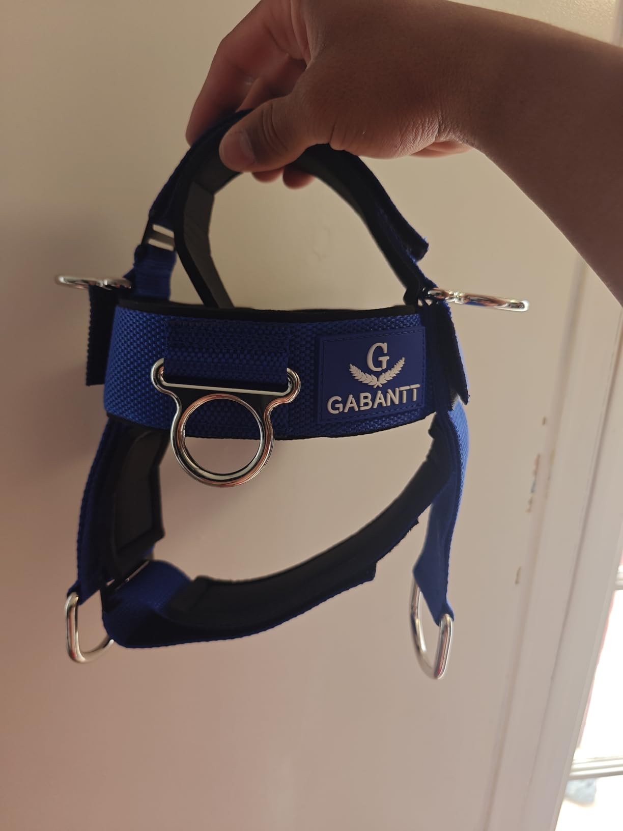 G Gabantt - Neck Exerciser and Neck Trainer. Adjustable Neck Harness Weight Lifting, 4 Way Neck Training - Head Harness for Neck Exercises and Neck Muscle Builder. Neck Strengthener Workout Equipment customer photo 1