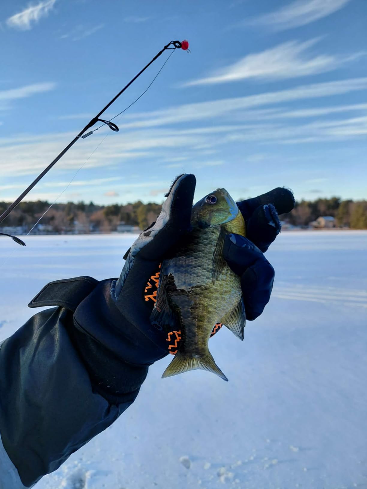 Gonex Ice Fishing Rod Reel Combo Medium Light Carbon Fiber Fiberglass Portable Complete Kit Include Skimmer Spare Rod Spinning Ice Fishing Reel Ice Jig Folding Stool for Winter Fishing customer photo 2