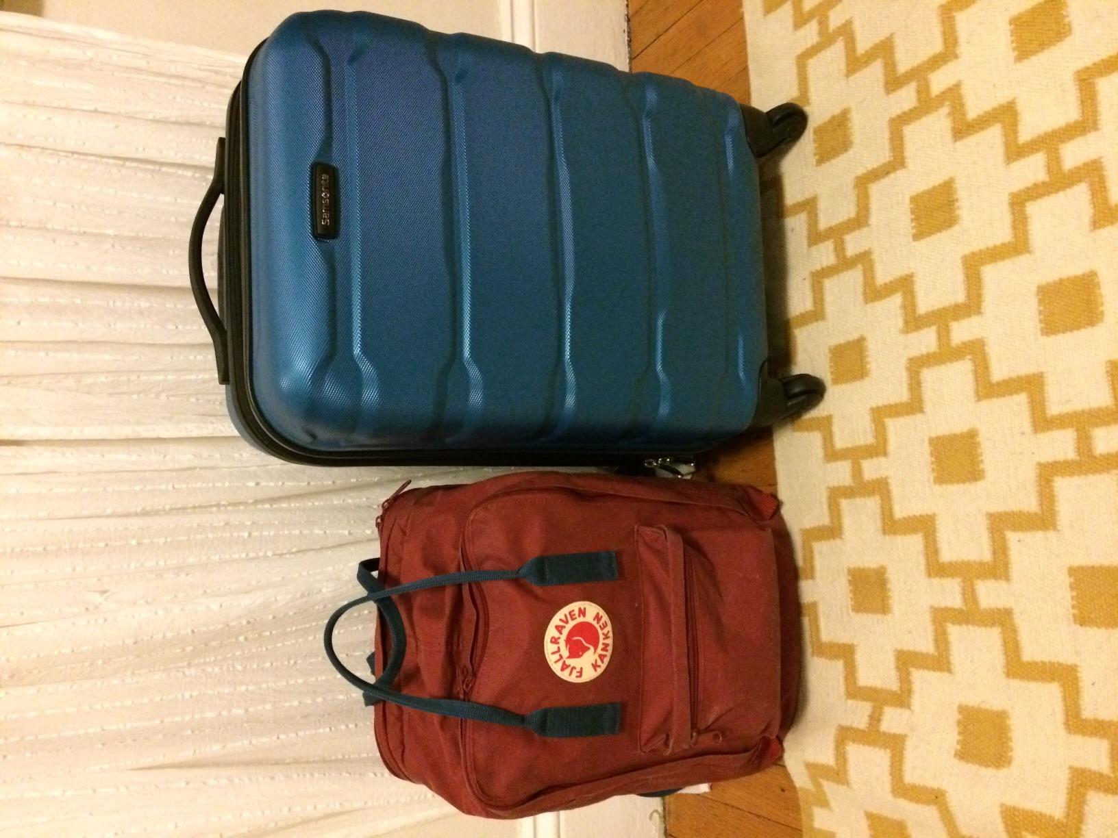 Omni PC Hardside Expandable Luggage with Spinner Wheels, Teal, 2-Piece Set (20/28) customer photo 1
