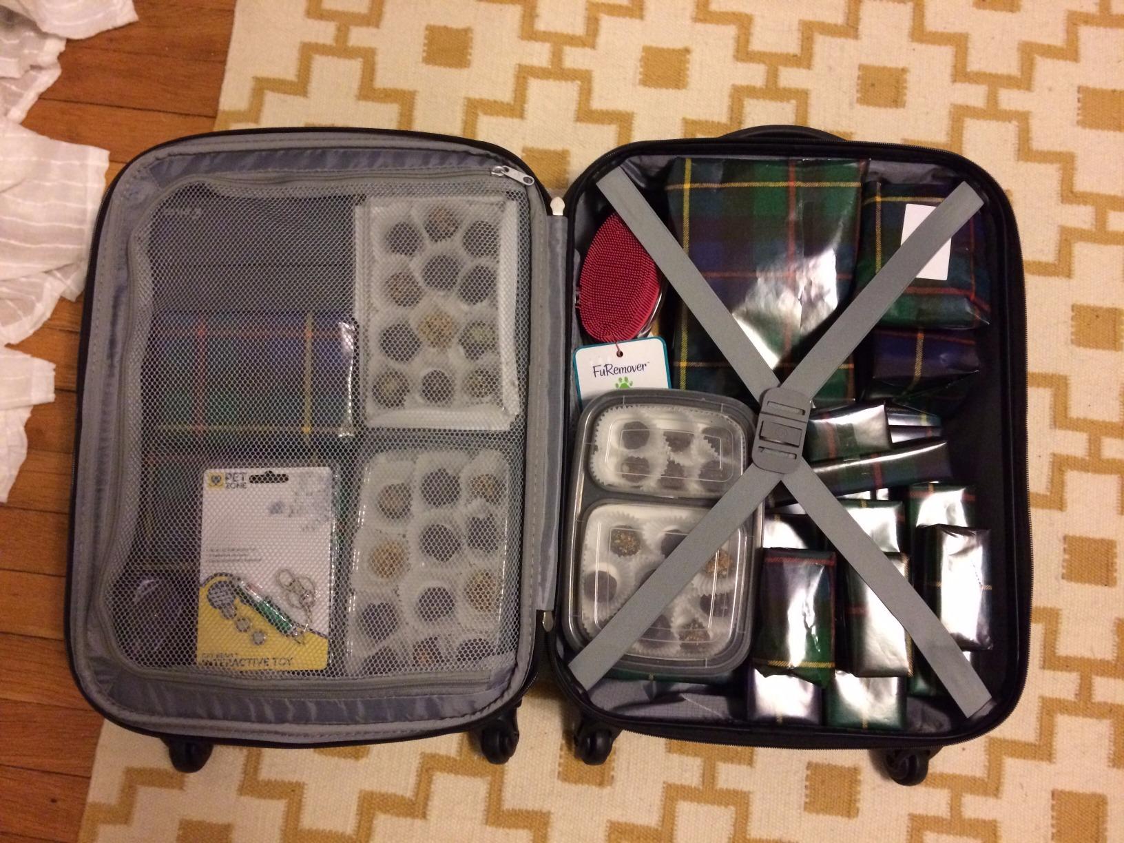 Omni PC Hardside Expandable Luggage with Spinner Wheels, Teal, 2-Piece Set (20/28) customer photo 2