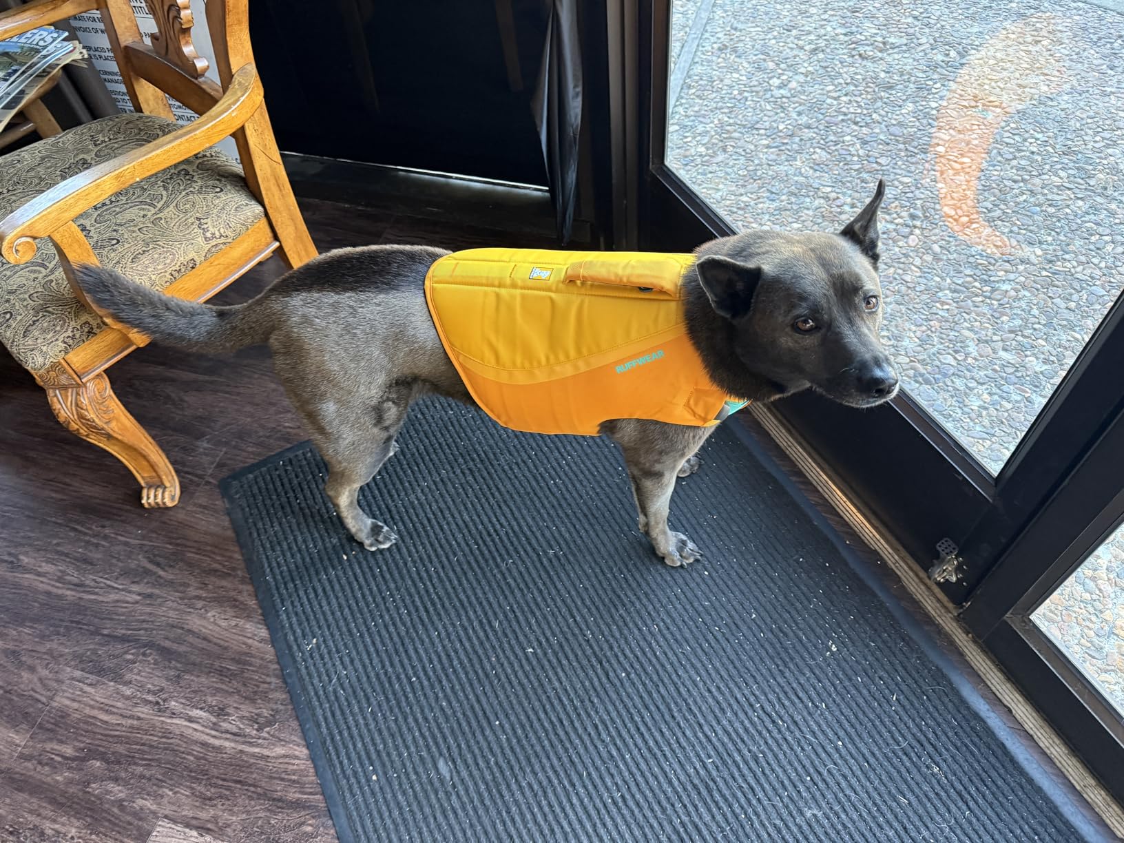 Ruffwear, Float Coat Dog Life Jacket, Premium Buoyancy Swim Vest with Lift Handle, Secure Fit & Reflective Trim, Adjustable Flotation for Swimming, Boating, & Outdoor Adventures, Deep Blue, Small customer photo 1